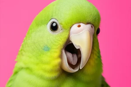 Демо заголовок. Надо отредактировать курс